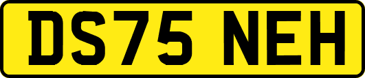 DS75NEH