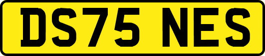 DS75NES