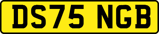 DS75NGB
