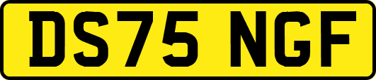 DS75NGF