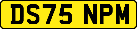 DS75NPM