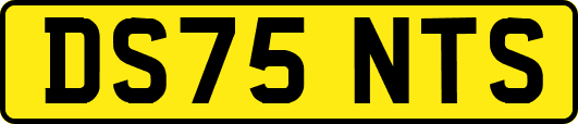 DS75NTS