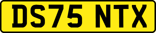 DS75NTX