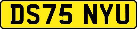 DS75NYU