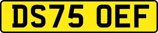DS75OEF