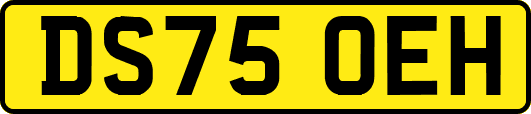 DS75OEH