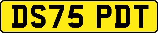 DS75PDT