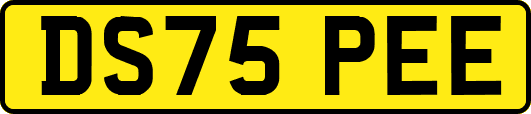 DS75PEE