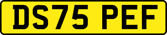 DS75PEF