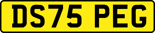 DS75PEG