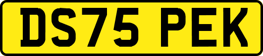 DS75PEK