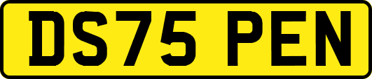 DS75PEN