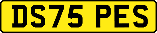 DS75PES