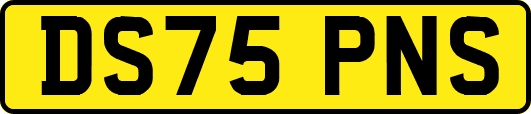 DS75PNS