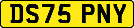 DS75PNY