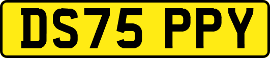 DS75PPY