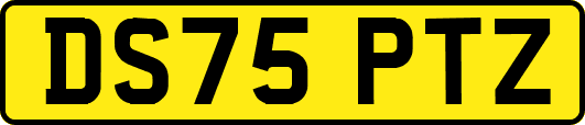 DS75PTZ