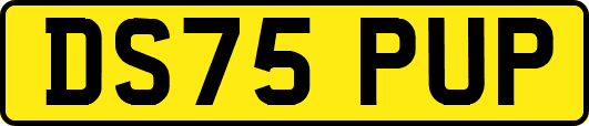 DS75PUP