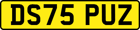 DS75PUZ