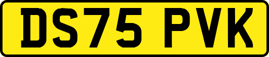 DS75PVK
