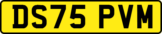 DS75PVM