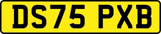 DS75PXB