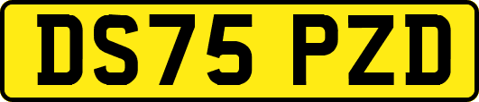 DS75PZD