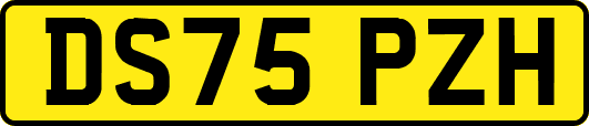 DS75PZH