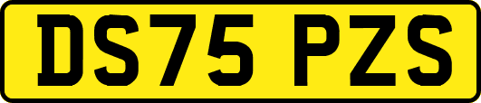 DS75PZS