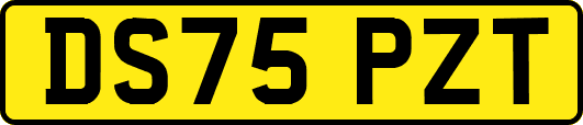 DS75PZT