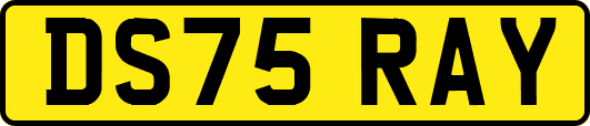 DS75RAY