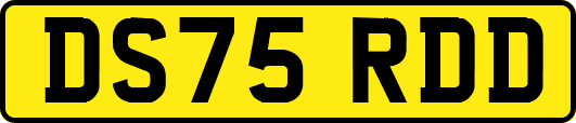 DS75RDD
