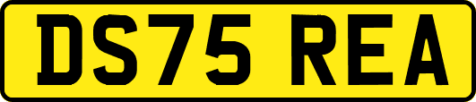 DS75REA
