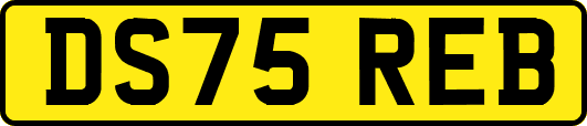 DS75REB