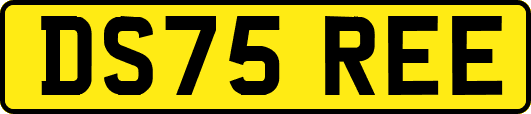 DS75REE