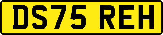 DS75REH