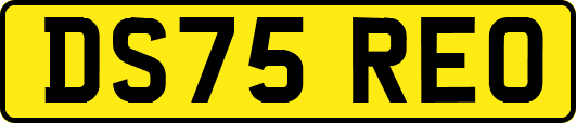 DS75REO
