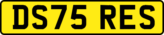 DS75RES