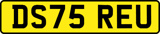 DS75REU