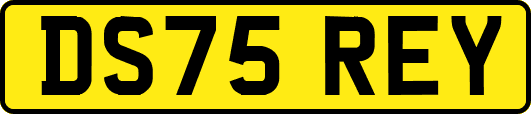 DS75REY