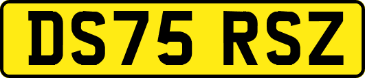 DS75RSZ
