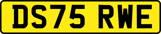 DS75RWE