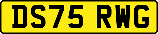 DS75RWG