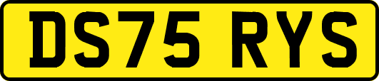 DS75RYS