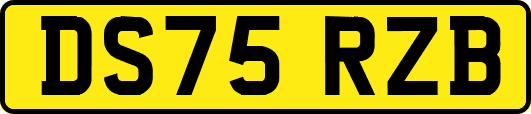 DS75RZB
