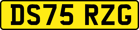 DS75RZG