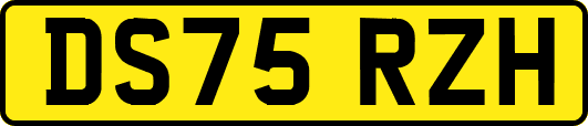 DS75RZH