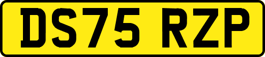 DS75RZP