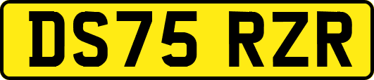DS75RZR