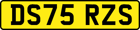 DS75RZS